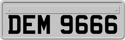 DEM9666