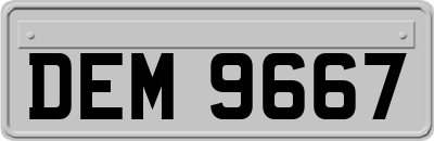 DEM9667