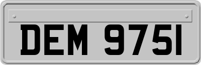 DEM9751