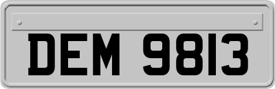 DEM9813