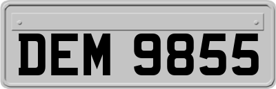 DEM9855