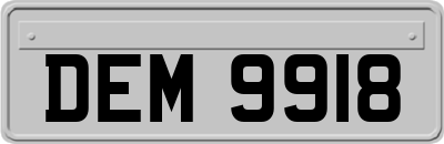 DEM9918