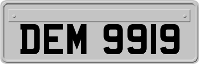 DEM9919