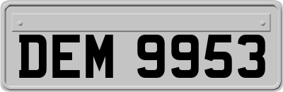 DEM9953