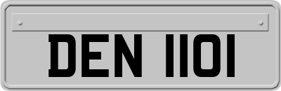 DEN1101