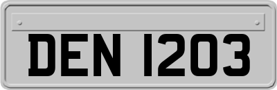DEN1203