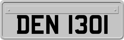 DEN1301