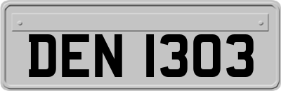 DEN1303