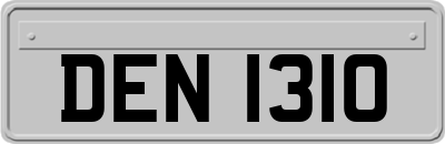 DEN1310