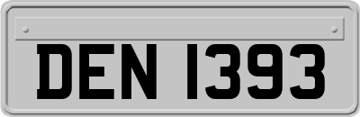 DEN1393
