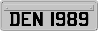 DEN1989