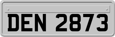 DEN2873