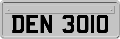 DEN3010