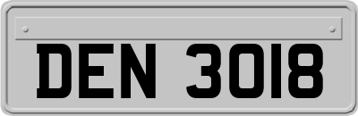 DEN3018
