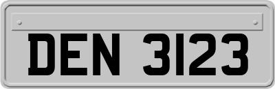 DEN3123