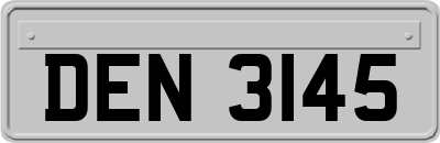 DEN3145