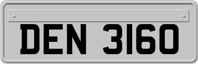 DEN3160