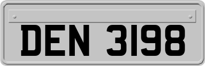 DEN3198