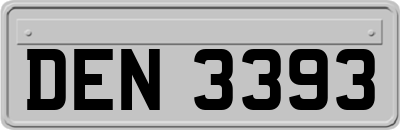 DEN3393
