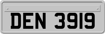 DEN3919
