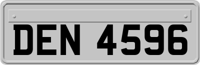 DEN4596
