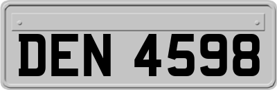 DEN4598