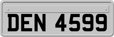 DEN4599
