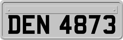 DEN4873