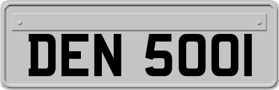 DEN5001