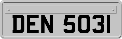 DEN5031