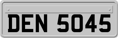 DEN5045