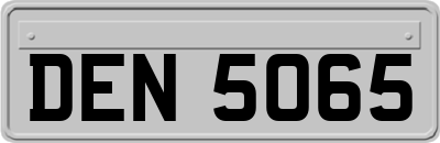 DEN5065