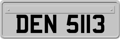 DEN5113