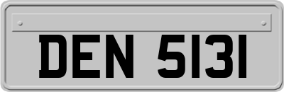 DEN5131