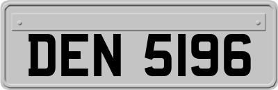 DEN5196