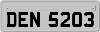 DEN5203