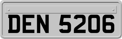 DEN5206