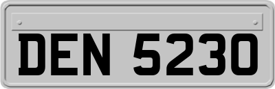 DEN5230