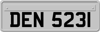 DEN5231