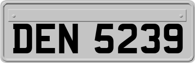 DEN5239