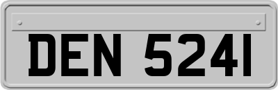 DEN5241