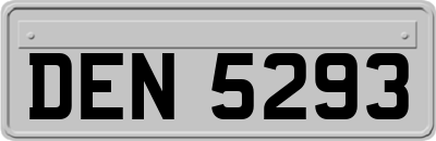 DEN5293