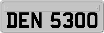 DEN5300