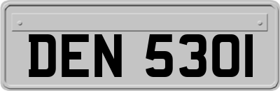 DEN5301