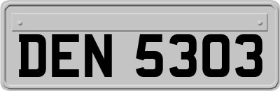 DEN5303