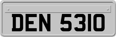 DEN5310