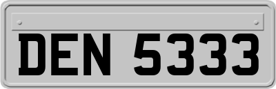 DEN5333