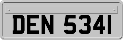 DEN5341