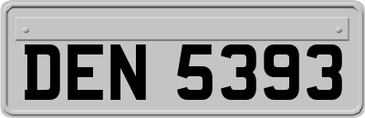 DEN5393
