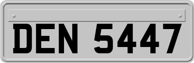 DEN5447
